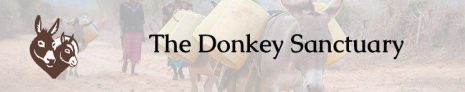 The donkey sanctuary